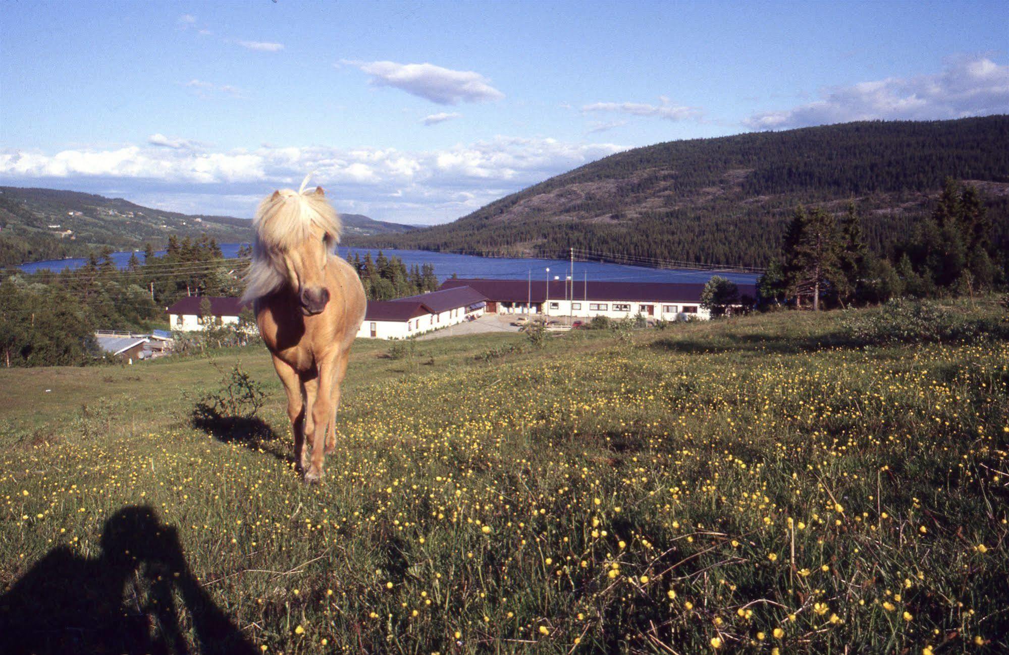 Valdres Hoyfjellshotell Steinsetbygdi Екстериор снимка